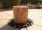 Pavo Rainbow Planter / Water Feature