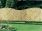 Elite St. Lunairs Fence Panel