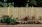 Louver Fence Panel