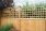 Triple Dome Trellis 