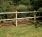 Half Round Post & Rail Fencing