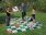 Giant Snakes and Ladders