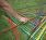 Garden Pick-Up Sticks