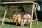 Hout-Land Hammock Seat