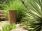 Fidelia Rainbow Planter / Water Feature