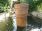 Lacerta Rainbow Planter / Water Feature