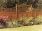 Grange Lap Fence Panel 