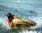 Airboard Wet Kit Silver Inflatable Sledge
