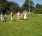 Tournament Of Knights Lawn Game