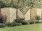 Elite St. Lunairs Fence Panel