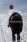 Stingray Black Sledge Toboggan