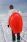 Stingray Red Sledge Toboggan