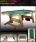 BCE 6ft Folding Pool Table