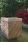 Caelum Rainbow Planter / Water Feature