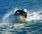 Airboard Wet Kit Silver Inflatable Sledge