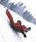 Snow UFO Red Sledge- Pack Of 10