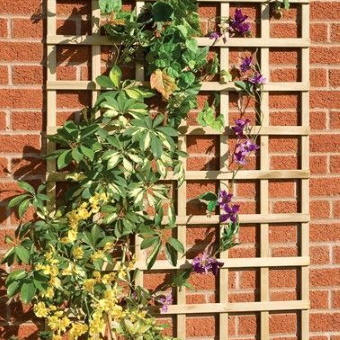 Grange Trellis