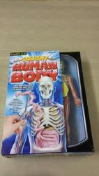 Smart Lab Squishy Human Body  - DAMAGE TO BOX