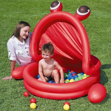 Animal Play Pit With 50 Game Balls