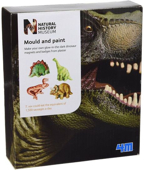 Natural History Museum Dinosaur Mould and Paint 