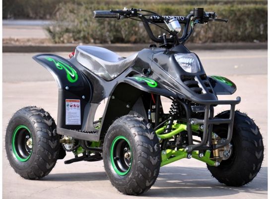 electric quad bike 800w