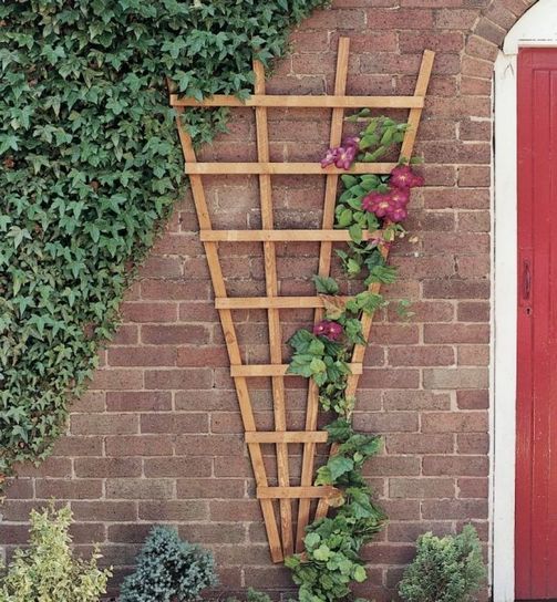 Heavy Duty Fan Trellis