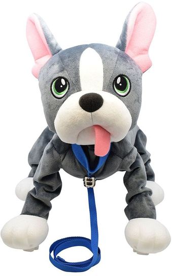 Peppy Pups - French Bull Dog
