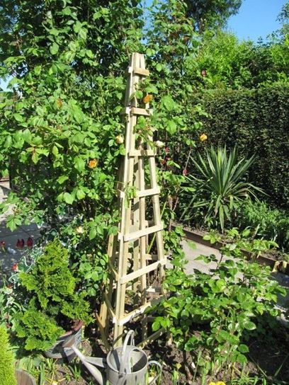 Trellis Obelisk