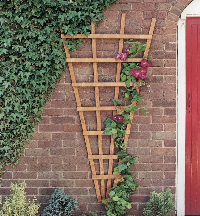 Heavy Duty Fan Trellis - Grange Trellis