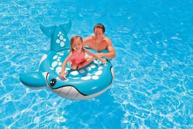 Bashful Blue Whale Pool Inflatable