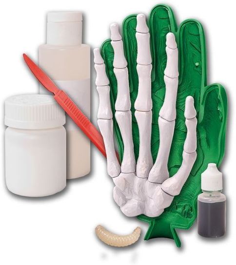 Gross Science Zombie Hand