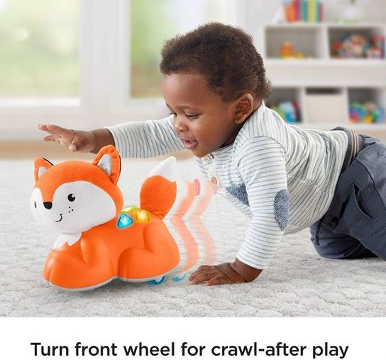 Sit to Crawl Learning Fox