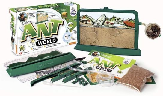 ANT WORLD 