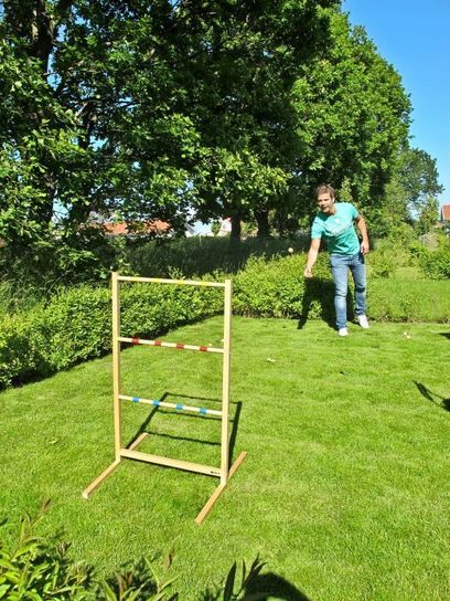 Spin Ladder