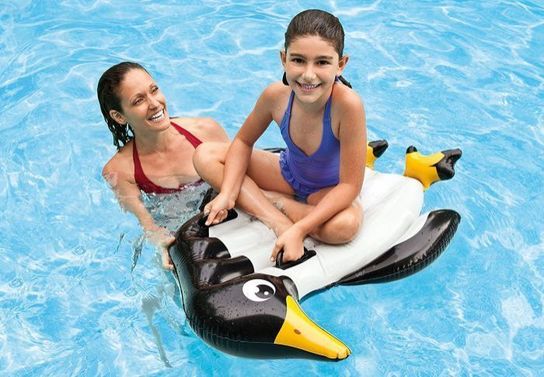 Animal Riders Pool Inflatable