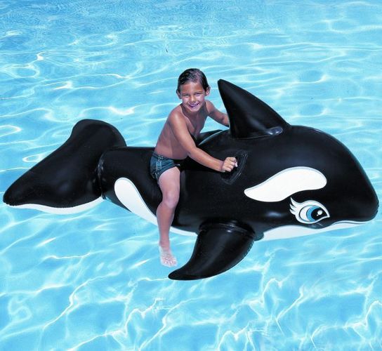 Whale Ride-On Pool Inflatable