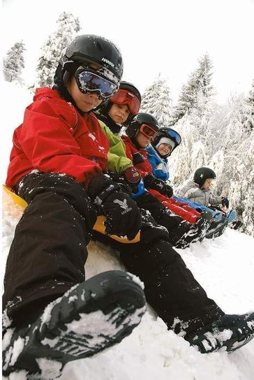 Snow Glider Silver Sledge Toboggan