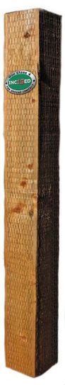 Fence Post 50 x 50mm Brown