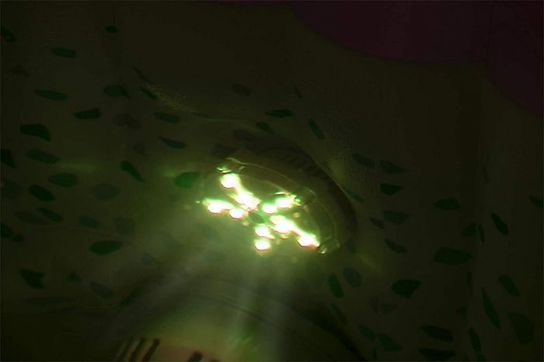 Lay-Z-Spa 7 Colour Underwater LED Light