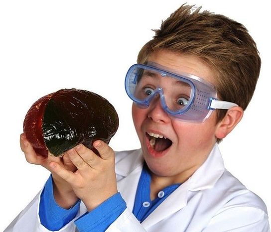 Gross Science Set