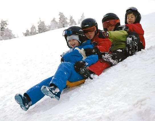 Snow Glider Pink Sledge Toboggan