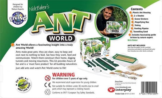 ANT WORLD 