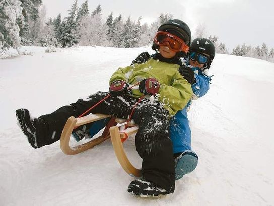 Lillehammer Maxi Folding Wooden Sledge Toboggan