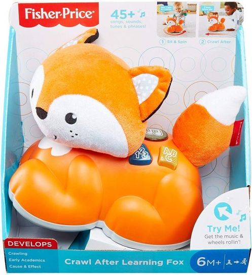 Sit to Crawl Learning Fox